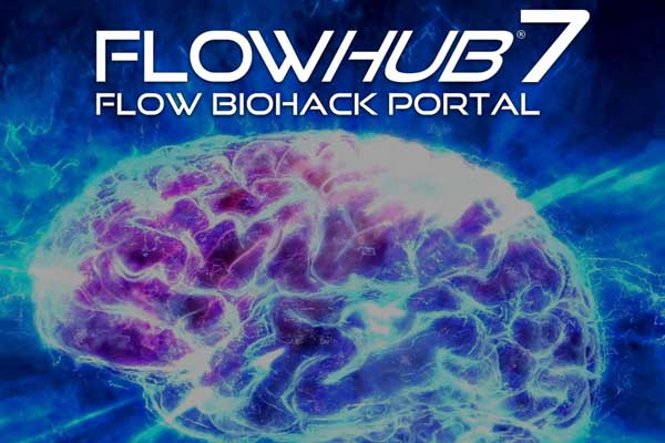 FlowHub7 online
